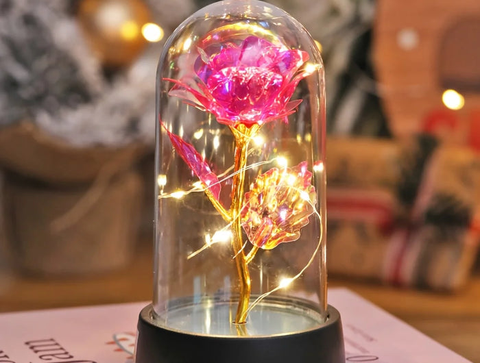 <h1>Le cadeaux parfait </h1>