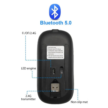 Souris Bluetooth Sans Fil RVB – Ergonomique, Rétroéclairée LED, 3600 DPI – Gaming & Bureautique