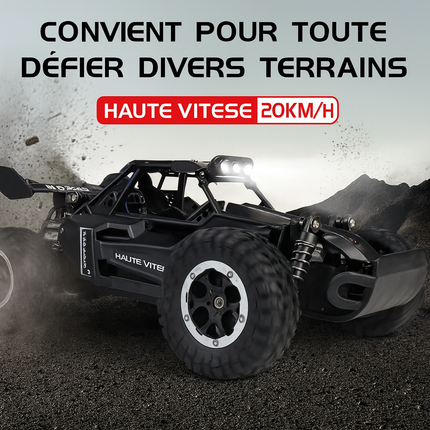 Voiture RC 1:16 Haute Vitesse — 2WD, LED, Tout-Terrain & Escalade