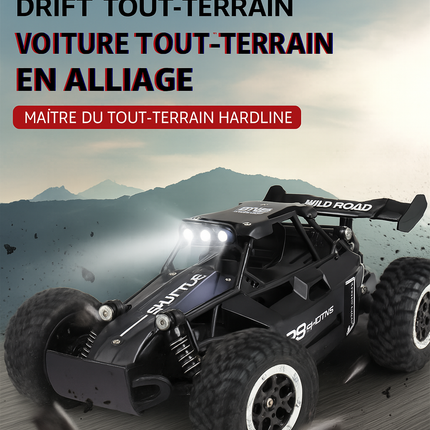 Voiture RC 1:16 Haute Vitesse — 2WD, LED, Tout-Terrain & Escalade