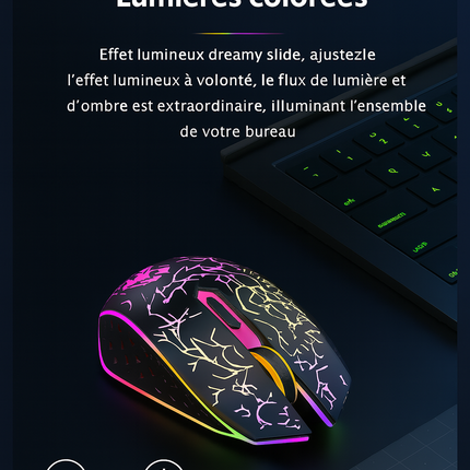 Souris Sans Fil 2.4G & Bluetooth – Gaming, Silencieuse, Rechargeable, 800‑1600 DPI pour PC & MacBook