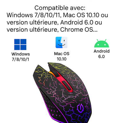 Souris Sans Fil 2.4G & Bluetooth – Gaming, Silencieuse, Rechargeable, 800‑1600 DPI pour PC & MacBook
