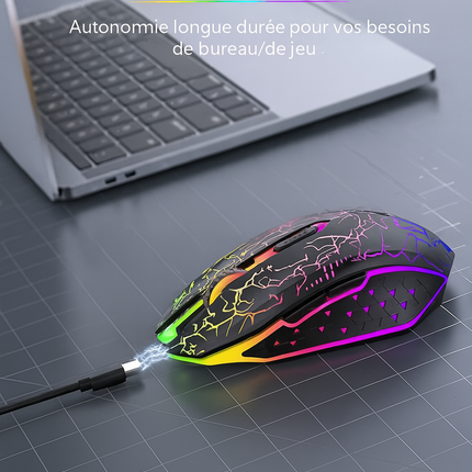 Souris Sans Fil 2.4G & Bluetooth – Gaming, Silencieuse, Rechargeable, 800‑1600 DPI pour PC & MacBook