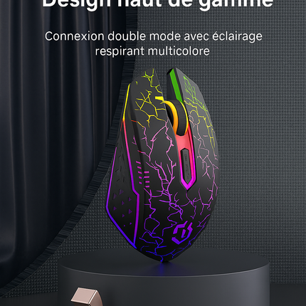 Souris Sans Fil 2.4G & Bluetooth – Gaming, Silencieuse, Rechargeable, 800‑1600 DPI pour PC & MacBook