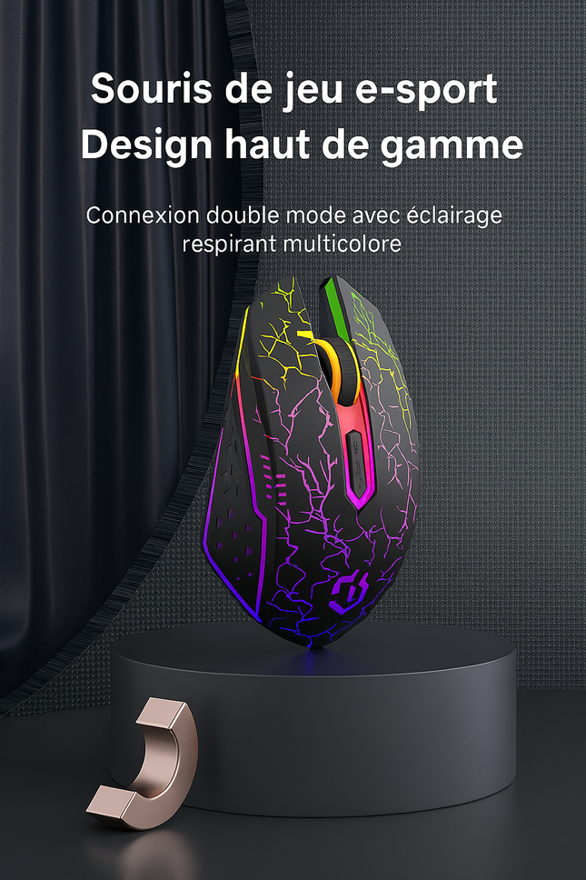 Souris Sans Fil 2.4G & Bluetooth – Gaming, Silencieuse, Rechargeable, 800‑1600 DPI pour PC & MacBook