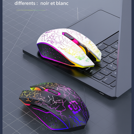 Souris Sans Fil 2.4G & Bluetooth – Gaming, Silencieuse, Rechargeable, 800‑1600 DPI pour PC & MacBook