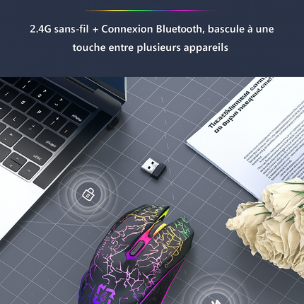 Souris Sans Fil 2.4G & Bluetooth – Gaming, Silencieuse, Rechargeable, 800‑1600 DPI pour PC & MacBook