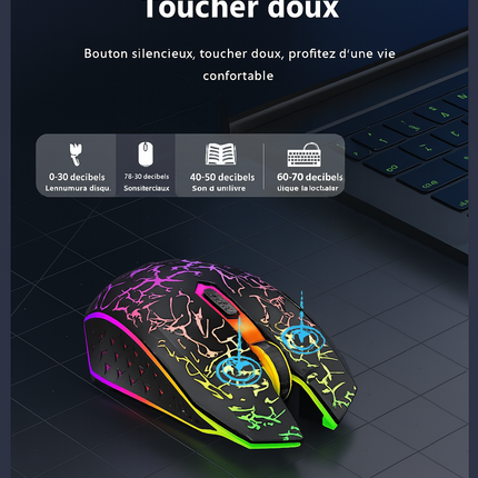 Souris Sans Fil 2.4G & Bluetooth – Gaming, Silencieuse, Rechargeable, 800‑1600 DPI pour PC & MacBook