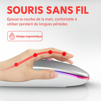 Souris Bluetooth Sans Fil RVB – Ergonomique, Rétroéclairée LED, 3600 DPI – Gaming & Bureautique